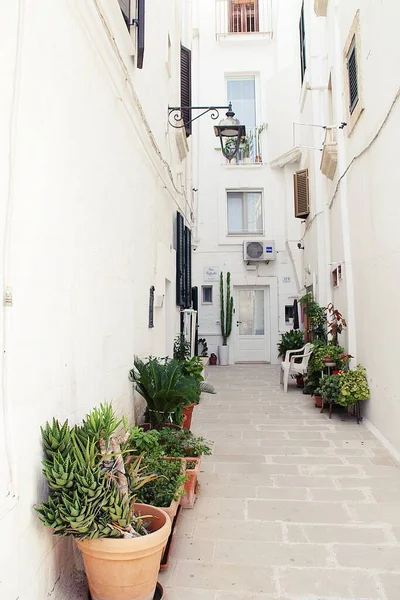 narrow street between houses, cul-de-sac between tenement houses, white houses, the town of Monopoli, Italy, plants in pots arranged under the wall of the house