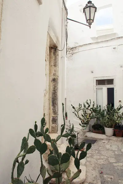 narrow street between houses, cul-de-sac between tenement houses, white houses, the town of Locorotondo, Italy, plants in pots arranged under the wall of the house