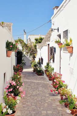 Taştan çatılı küçük evler, özel trulli evler, Alberobello kasabası çiçekli Trulli caddesi, İtalya 'nın Alberobello kasabası.