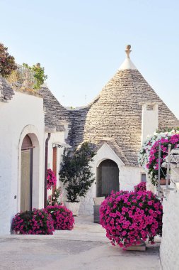 İtalyan kasabasında dar bir sokak, beyaz evler, beyaz şehir, beyaz taş binalar, Alberobello kasabası, İtalya, evin yanına yerleştirilmiş bitkiler, pembe petunyalar, trulli evler.
