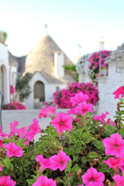 İtalyan kasabasında dar bir sokak, beyaz evler, beyaz şehir, beyaz taş binalar, Alberobello kasabası, İtalya, evin yanına yerleştirilmiş bitkiler, pembe petunyalar, trulli evler.