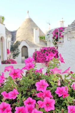 İtalyan kasabasında dar bir sokak, beyaz evler, beyaz şehir, beyaz taş binalar, Alberobello kasabası, İtalya, evin yanına yerleştirilmiş bitkiler, pembe petunyalar, trulli evler.