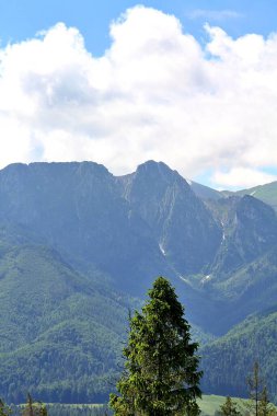 Dağların manzarası, Tatra Dağları, Polonya dağları, Giewont manzarası, dağlar ve çayır manzarası.