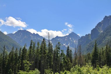 Mavi gökyüzü ve bulutlu dağ manzarası, Slovakya