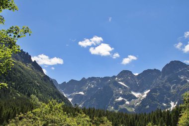 yüksek dağlar, Tatra Parkı, yeşil ağaçlar, mavi gökyüzü, doğal bitkiler, yeşil köşeler