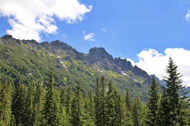 yüksek dağlar, Tatra Parkı, yeşil ağaçlar, mavi gökyüzü, doğal bitkiler, yeşil köşeler, dağlarda turistler, dağlarda yürüyüş