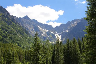 yüksek dağlar, Tatra Parkı, yeşil ağaçlar, mavi gökyüzü, doğal bitkiler, yeşil köşeler, dağlarda turistler, dağlarda yürüyüş