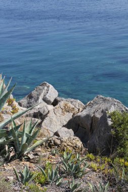 Güzel deniz suyu, halkidiki, Yunan, yeşil su, berrak deniz suyu, deniz kıyısı