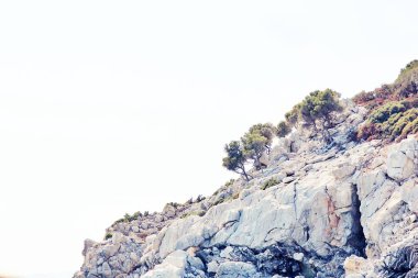 Dağları ve mavi gökyüzü olan güzel bir manzara.