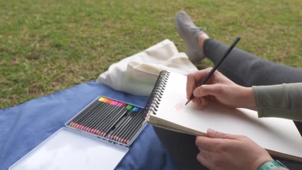 Egy Rajzol Egy Vázlatfüzetre Színes Ceruzával Egy Kék Takarón Parkban — Stock videók