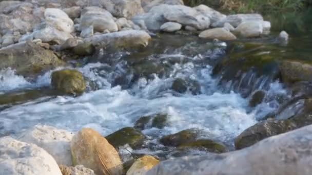 Close Água Corrente Rio Sobre Rochas — Vídeo de Stock