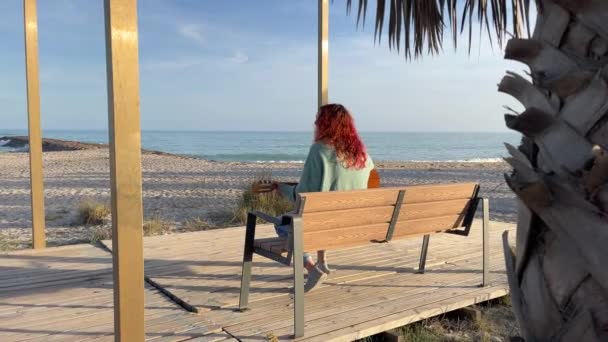 海の前に木製のベンチに座ってギターを弾く女性 — ストック動画