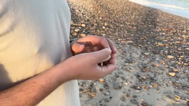 ビーチの海に石を投げる男 — ストック動画