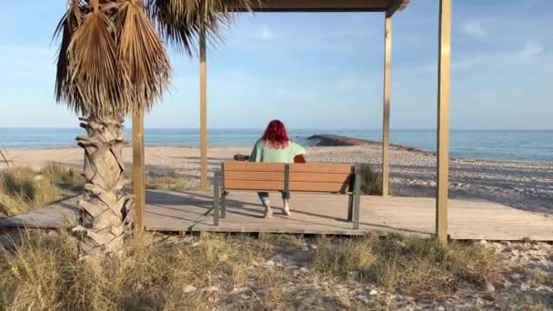 遅い動きで海の前でギターを演奏する女性のズーム — ストック動画