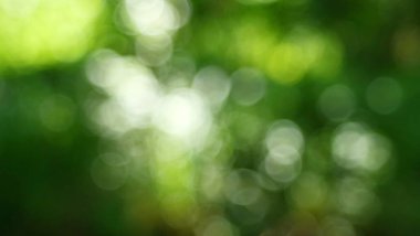 Vintage lens bokeh: odak alanı dışında parlak doğa, kolaj ve tasarım için parıltı ve parlaklık