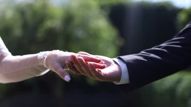 Руки Жениха Невесты Природе Высококачественные Fullhd Кадры — стоковое видео