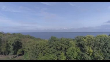 Ormanın ve nehrin insansız hava aracı görüntüsü. Yüksek kalite 4k görüntü