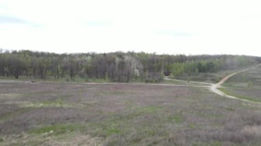 A vehicle drives through the forest aerial view. High quality 4k footage