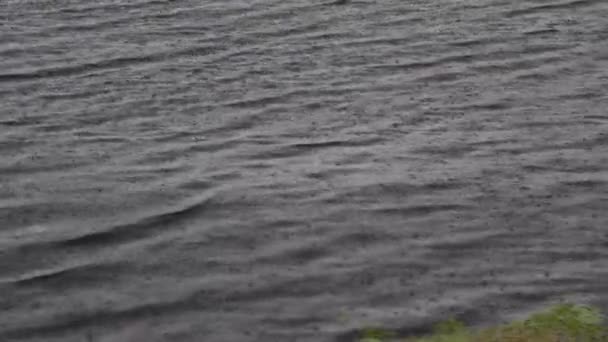 Дощ Річках Високоякісні Fullhd Кадри — стокове відео