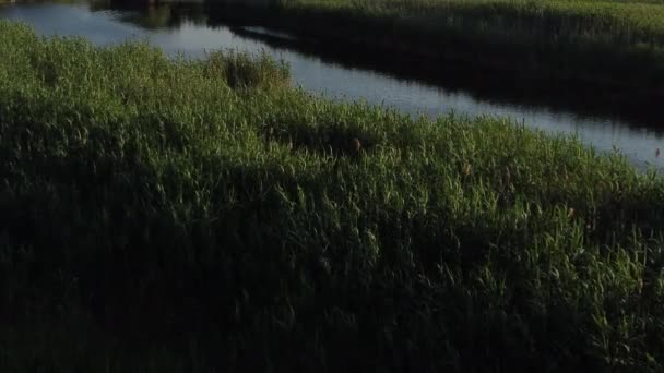 ドローンは日没時に川を渡った 高品質の4K映像 — ストック動画
