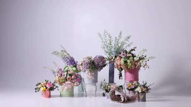 Belles Fleurs Sur Fond Blanc Des Images Fullhd Haute Qualité Vidéo De Stock