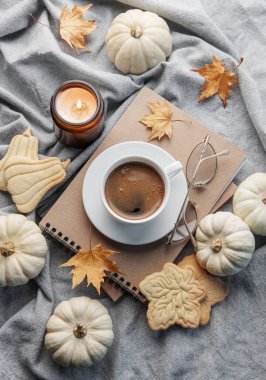 Beyaz balkabakları, kahve ve sonbahar yaprakları gri örülmüş bir kazakta. Sonbahar ev dekorasyonu.