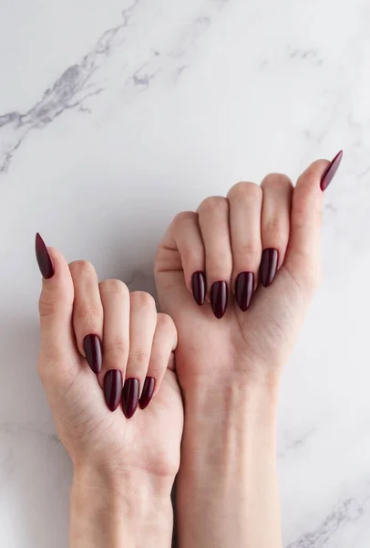 Belas Mãos Uma Jovem Mulher Com Manicure Vermelho Escuro Unhas — Fotografia de Stock