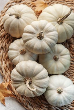 Şükran Günü ya da gri beton arka planda balkabakları olan düz yatak. Sonbahar sonbahar konsepti. Tatil dekorasyonu. 