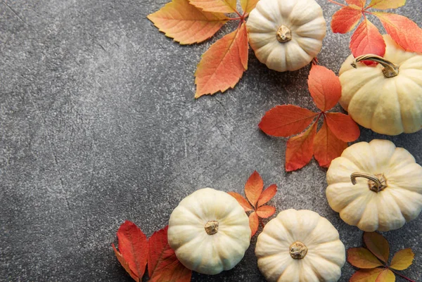 stock image Thanksgiving season still life with small pumpkins and fall leaves over grey concrete  background