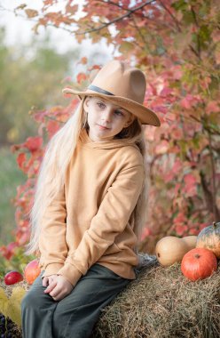 Sonbahar bahçesinde saman balyalarının ve balkabaklarının arasında oturan küçük kızlar