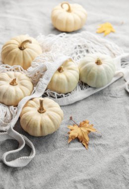 Gri bir tekstil arka planında ağ alışveriş poşetinde balkabaklarıyla üst görünüm sonbahar kompozisyonu