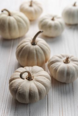 Beyaz balkabakları eski beyaz bir ahşabın arka planında. Samimi sonbahar konsepti