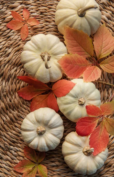 stock image Thanksgiving season still life with small pumpkins and fall leaves over wicker mat  background