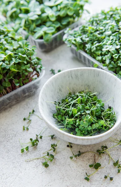 Assortment Micro Greens Table Healthy Food — Stockfoto