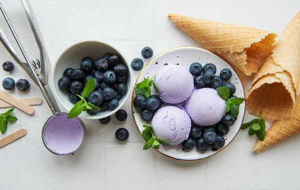 Homemade Blueberry Ice Cream Fresh Blueberries Sweet Berry Summer Dessert — ストック写真
