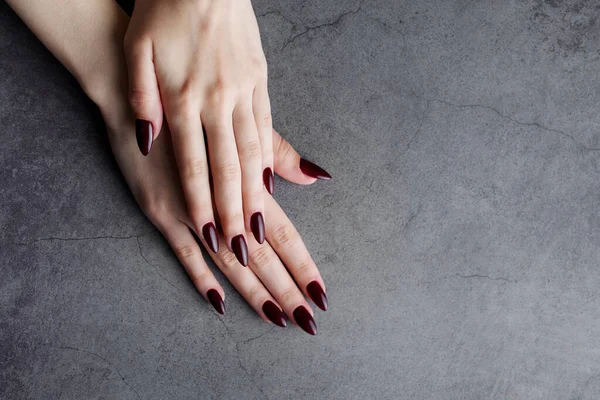 Piękne Dłonie Młodej Kobiety Ciemnoczerwonym Manicure Paznokciach Ciemnym Tle — Zdjęcie stockowe