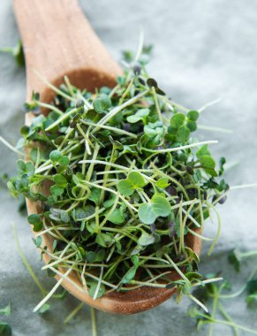 Tekstil arka planında tahta kaşıkta taze organik turp yeşili.