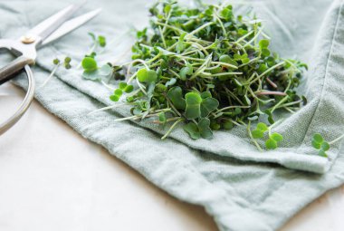 Tekstil zemininde taze organik turp mikro yeşil