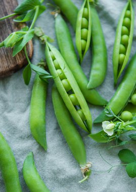 Young fresh juicy pods of green peas. Healthy organic food. 