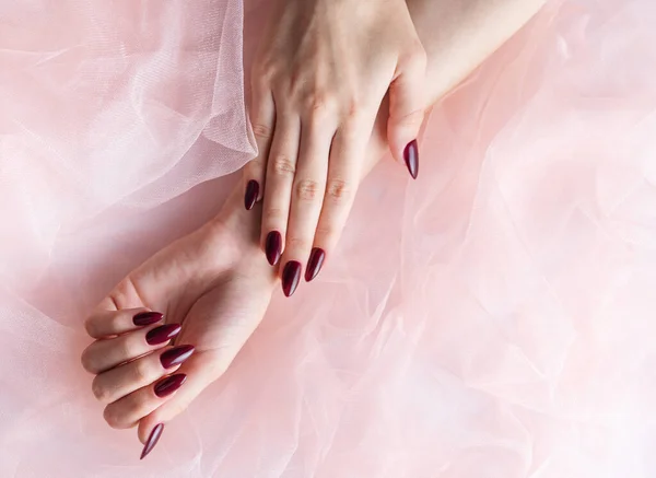 Piękne Dłonie Młodej Kobiety Ciemnoczerwonym Manicure Paznokciach Różowy Tiul Tle — Zdjęcie stockowe