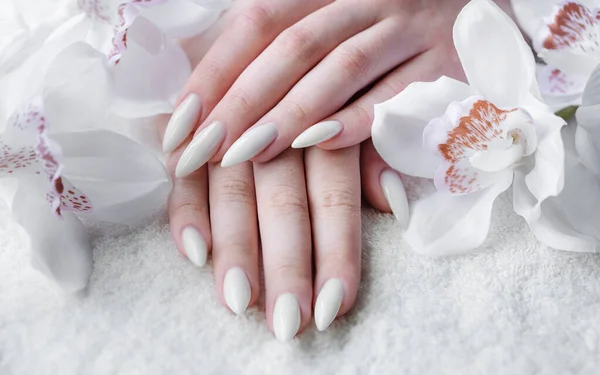 Prachtige Handen Van Een Jonge Vrouw Met Witte Manicure Nagels — Stockfoto