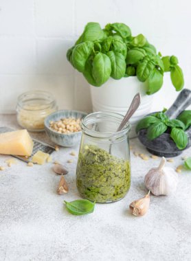 Taze pesto sosu. Yeşil fesleğen pesto. Pesto sosu için malzemeler - Taze fesleğen, çam fıstığı, zeytinyağı ve peynir