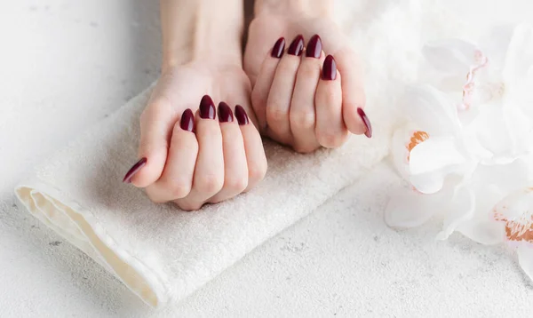 Piękne Dłonie Młodej Kobiety Ciemnoczerwonym Manicure Paznokciach Kobieta Ręce Ręczniku — Zdjęcie stockowe