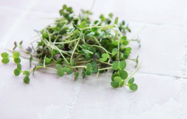 Fayans zemin üzerinde taze organik turp mikro yeşil