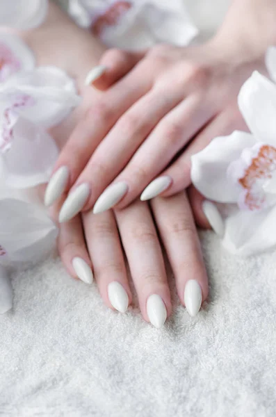 漂亮的手一个年轻的女人与白色指甲修指甲 在美甲沙龙和白兰花中的毛巾上的女性手 — 图库照片