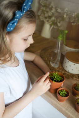 Küçük kız mutfağında oturuyor ve elinde fidelerle bekliyor.