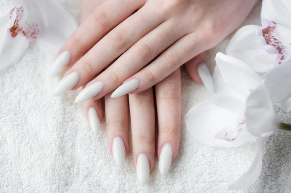 Piękne Dłonie Młodej Kobiety Białym Manicure Paznokciach Kobieta Ręce Ręczniku — Zdjęcie stockowe