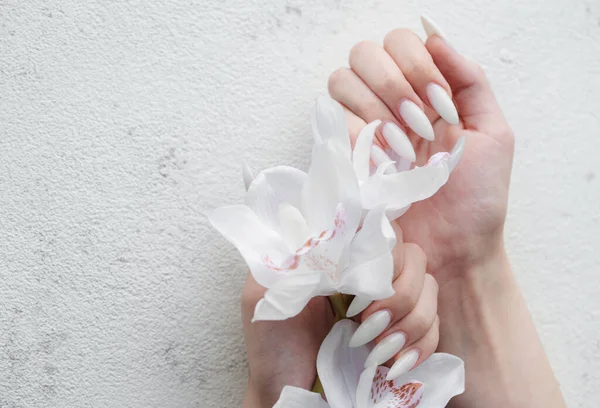 Красивые Руки Молодой Женщины Белым Маникюром Ногтях Руки Девушки Белыми — стоковое фото