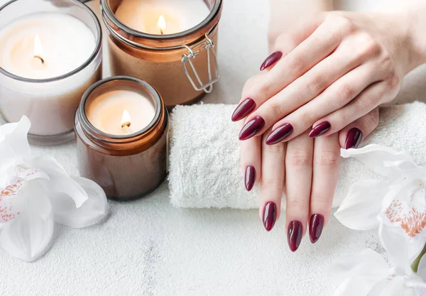 stock image Beautiful hands of a young woman with dark red manicure on nails. Female hands on a towel in a nail salon, candles and white orchids flowers