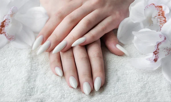 漂亮的手一个年轻的女人与白色指甲修指甲 在美甲沙龙和白兰花中的毛巾上的女性手 — 图库照片